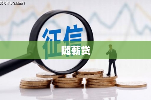 平武随薪贷