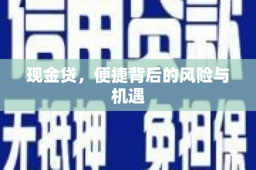 平武现金贷，便捷背后的风险与机遇