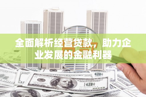 平武全面解析经营贷款，助力企业发展的金融利器