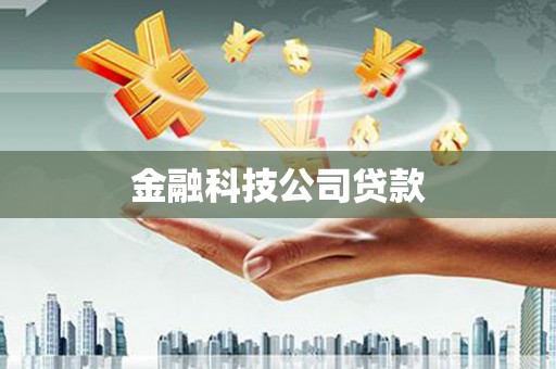 平武金融科技公司贷款