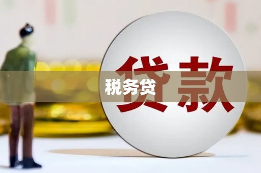 平武税务贷