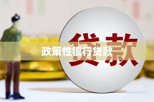 平武政策性银行贷款