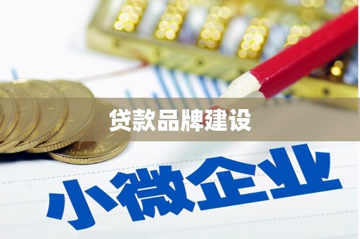 平武贷款品牌建设