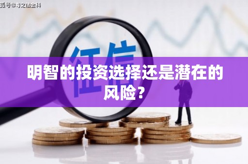 平武明智的投资选择还是潜在的风险？