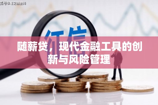 平武随薪贷，现代金融工具的创新与风险管理