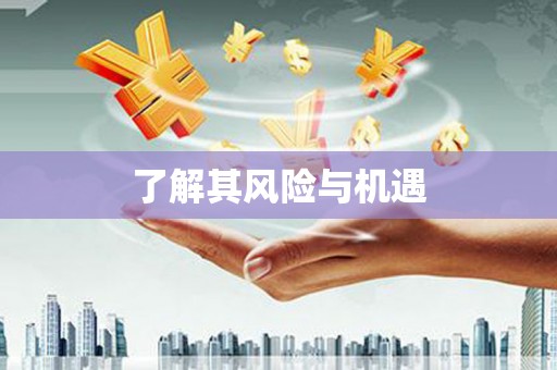 平武了解其风险与机遇