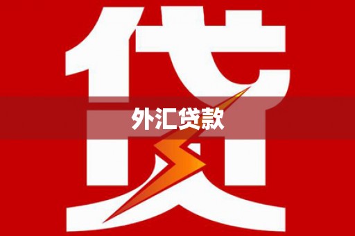 平武外汇贷款
