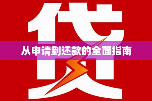 平武从申请到还款的全面指南
