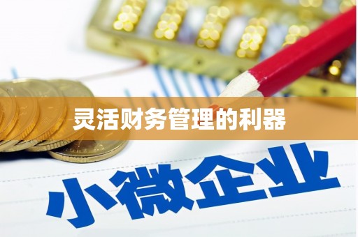 平武灵活财务管理的利器