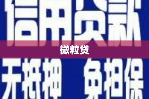 平武微粒贷