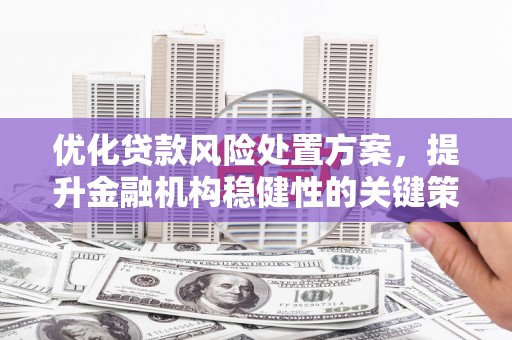 平武优化贷款风险处置方案，提升金融机构稳健性的关键策略