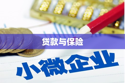 平武贷款与保险