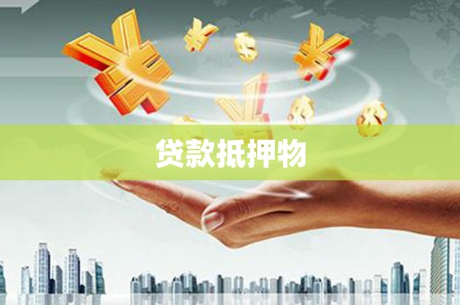 平武贷款抵押物