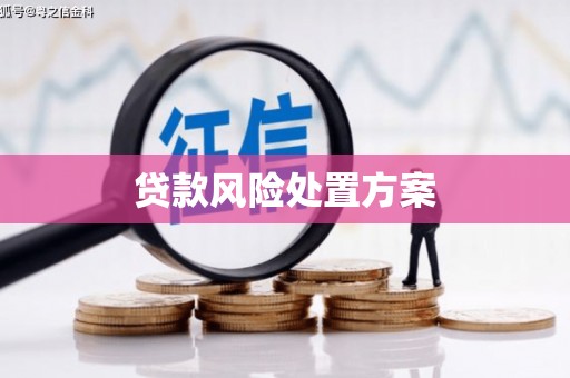 平武贷款风险处置方案