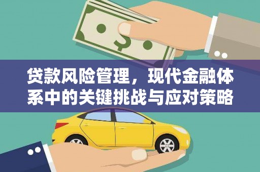 平武贷款风险管理，现代金融体系中的关键挑战与应对策略
