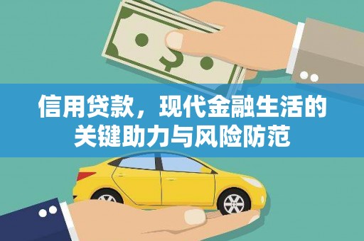 平武信用贷款，现代金融生活的关键助力与风险防范