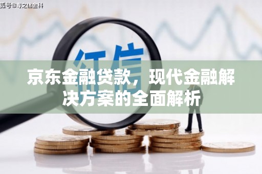 平武京东金融贷款，现代金融解决方案的全面解析