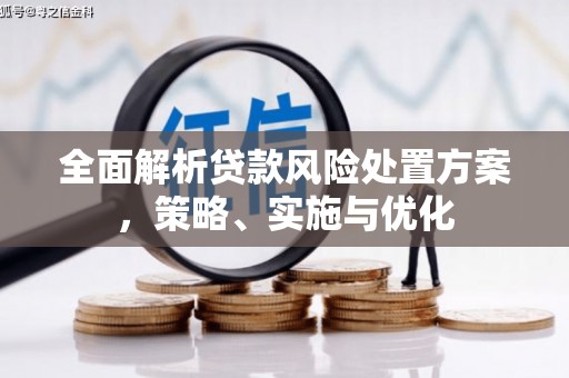 平武全面解析贷款风险处置方案，策略、实施与优化