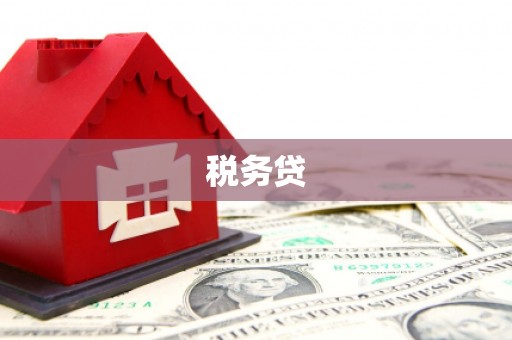平武税务贷