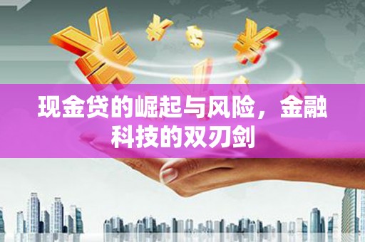 平武现金贷的崛起与风险，金融科技的双刃剑