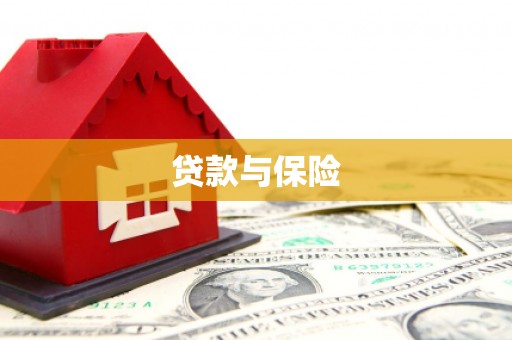 平武贷款与保险