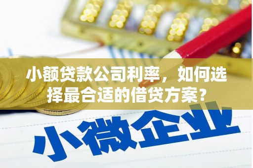 平武小额贷款公司利率，如何选择最合适的借贷方案？