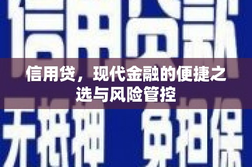 平武信用贷，现代金融的便捷之选与风险管控