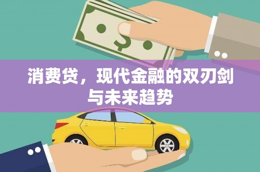 平武消费贷，现代金融的双刃剑与未来趋势