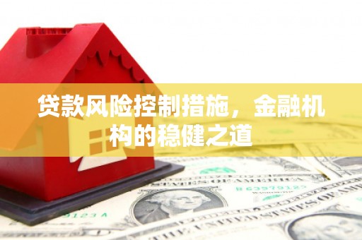 平武贷款风险控制措施，金融机构的稳健之道