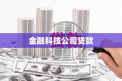 平武金融科技公司贷款