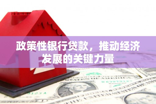 平武政策性银行贷款，推动经济发展的关键力量