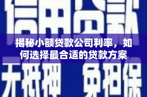 平武揭秘小额贷款公司利率，如何选择最合适的贷款方案