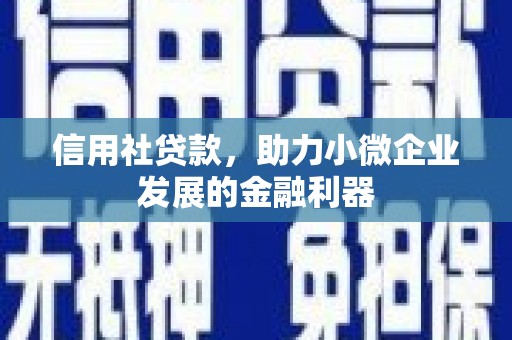 平武信用社贷款，助力小微企业发展的金融利器