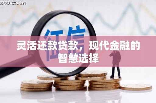 平武灵活还款贷款，现代金融的智慧选择