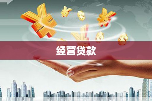平武经营贷款