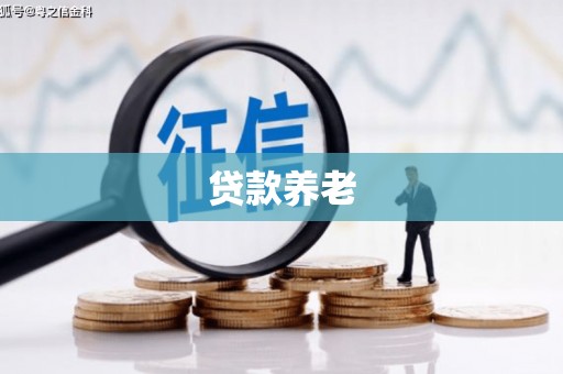 平武贷款养老