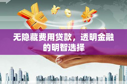 平武无隐藏费用贷款，透明金融的明智选择