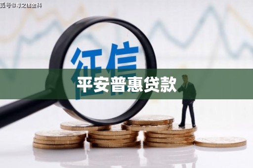 平武平安普惠贷款