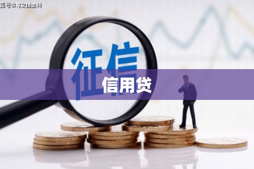 平武信用贷