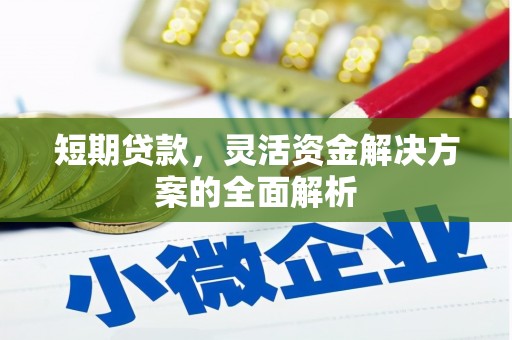 平武短期贷款，灵活资金解决方案的全面解析