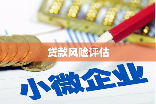 平武贷款风险评估