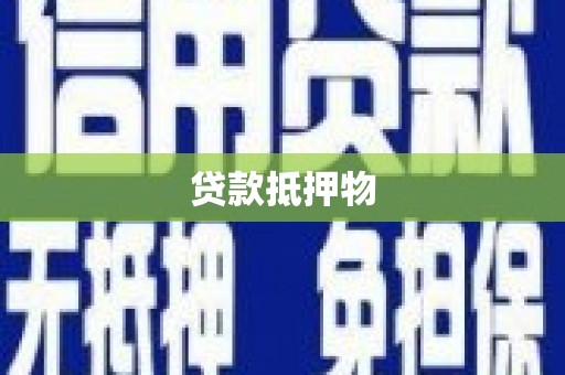 平武贷款抵押物