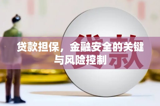 平武贷款担保，金融安全的关键与风险控制