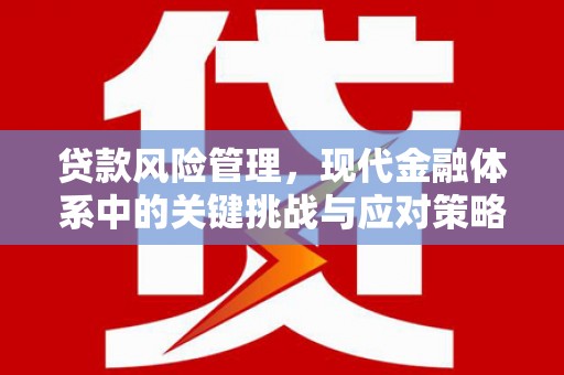 平武贷款风险管理，现代金融体系中的关键挑战与应对策略