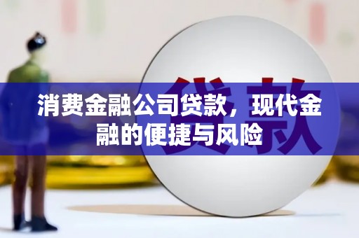 平武消费金融公司贷款，现代金融的便捷与风险