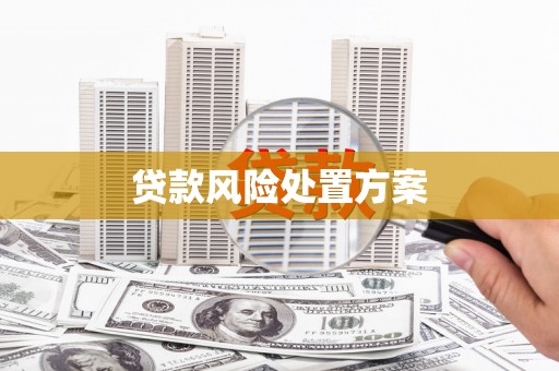 平武贷款风险处置方案