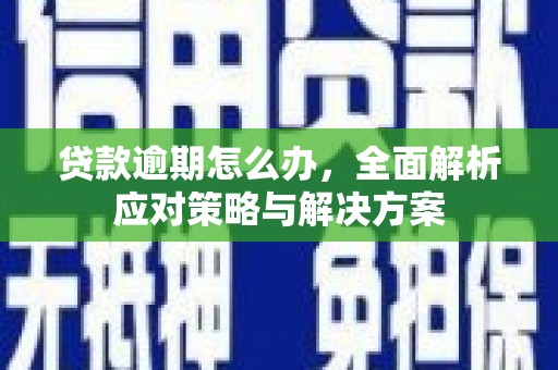 平武贷款逾期怎么办，全面解析应对策略与解决方案
