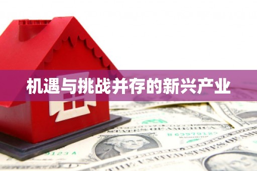 平武机遇与挑战并存的新兴产业