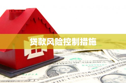 平武贷款风险控制措施