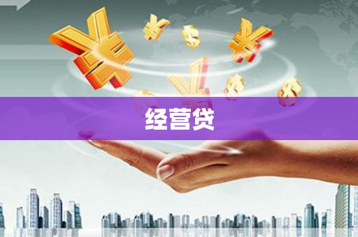 平武经营贷